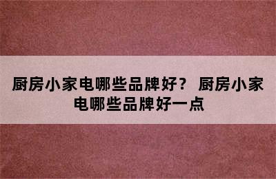 厨房小家电哪些品牌好？ 厨房小家电哪些品牌好一点